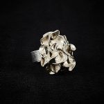 1700 3012 Ring